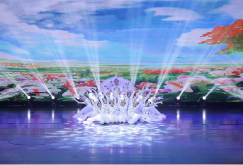 我院选送舞蹈节目《白翎儿》录制现场