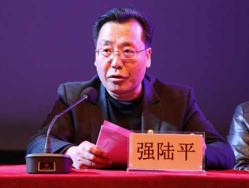 学院党委副书记、院长强陆平总结讲话